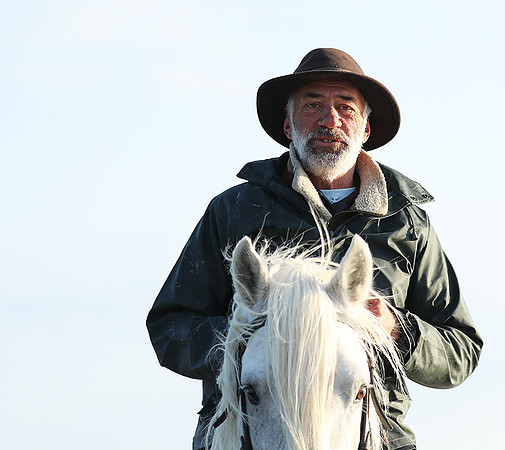 Guardians - Camargue