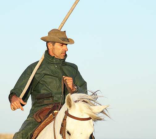 Guardians - Camargue