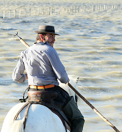 Guardians - Camargue