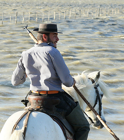 Guardians - Camargue