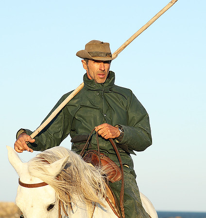 Guardians - Camargue