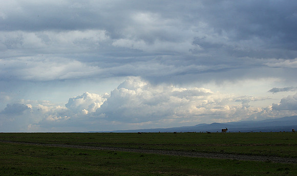 Laikipia