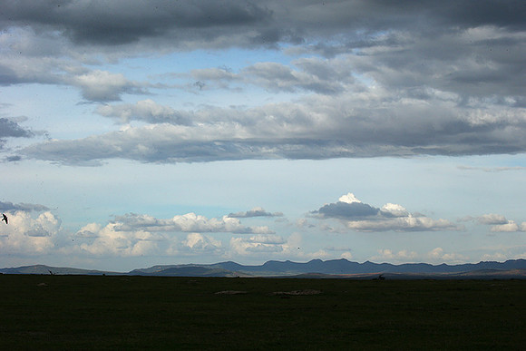 Laikipia