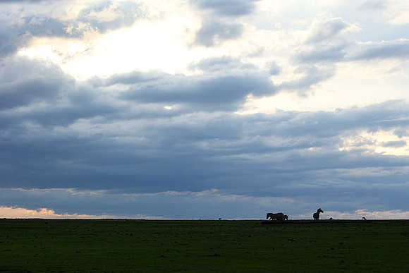 Laikipia