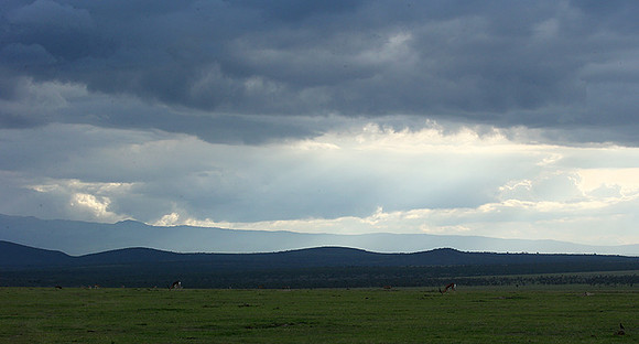 Laikipia