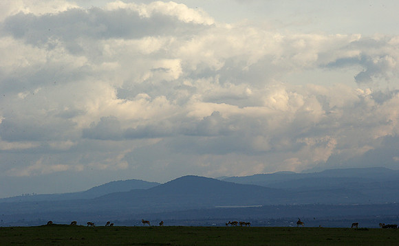 Laikipia