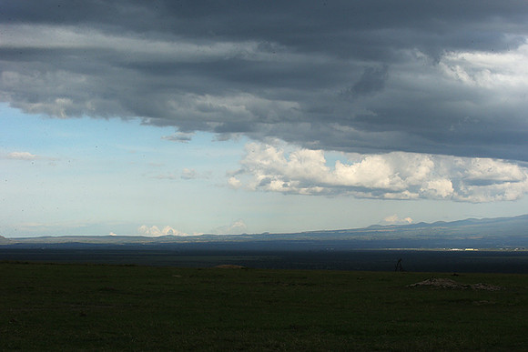 Laikipia