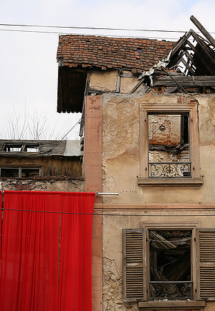 Rosheim - After a fire nature comes back