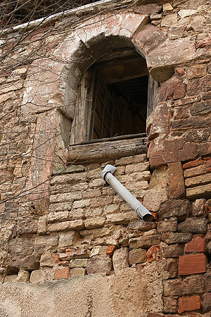 Rosheim - After a fire nature comes back