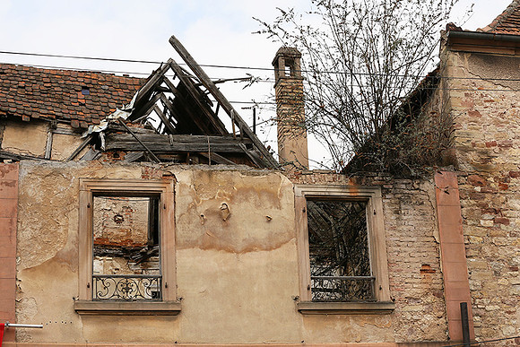 Rosheim - After a fire nature comes back