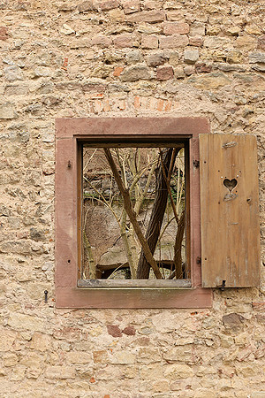 Rosheim - After a fire nature comes back