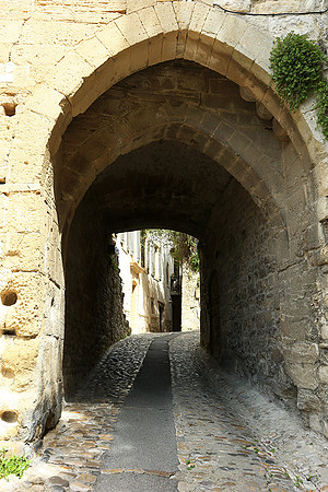 Vaison la Romaine