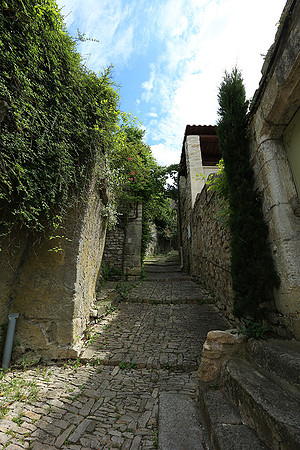 Vaison la Romaine