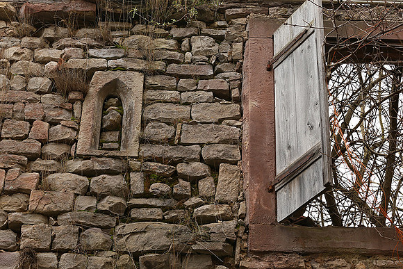 Rosheim - After a fire nature comes back