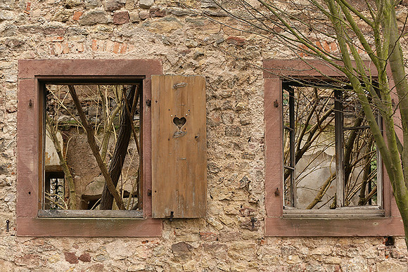 Rosheim - After a fire nature comes back