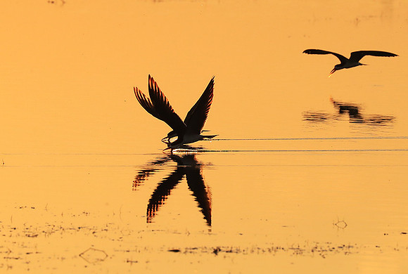 Liuwa National park