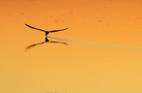 Liuwa Plain NP