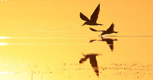 Liuwa National park