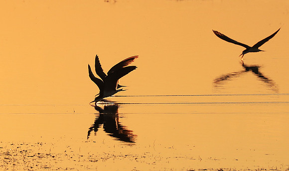 Liuwa National park