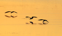 Liuwa Plain NP
