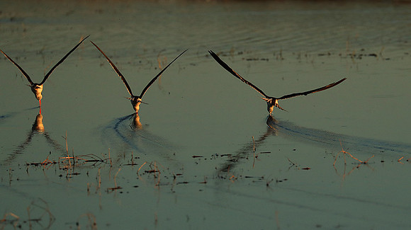 Liuwa Plain NP