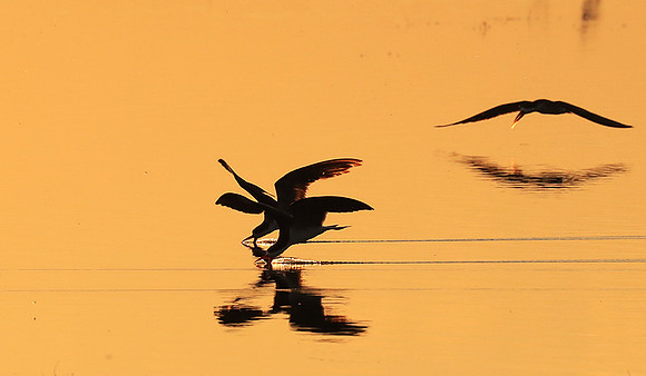 Liuwa National park