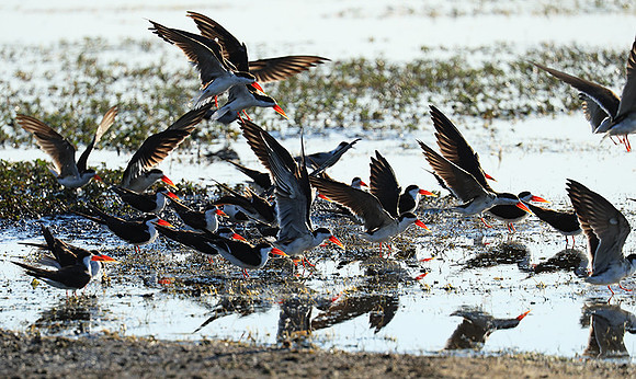 Liuwa Plain NP