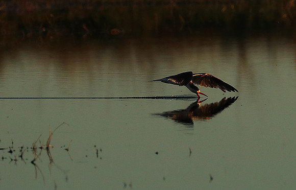 Liuwa Plain National Park