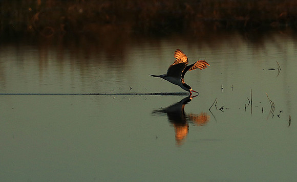 Liuwa Plain National Park