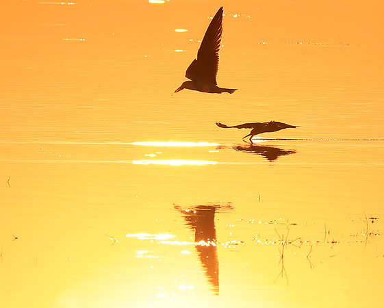 Liuwa National park