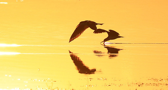 Liuwa National park