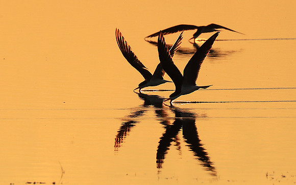 Liuwa National park