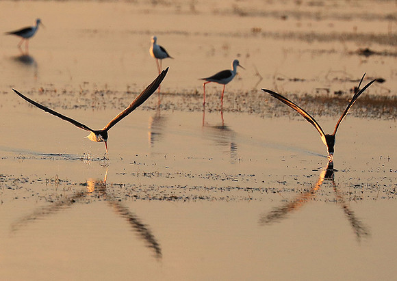 Liuwa Plain NP