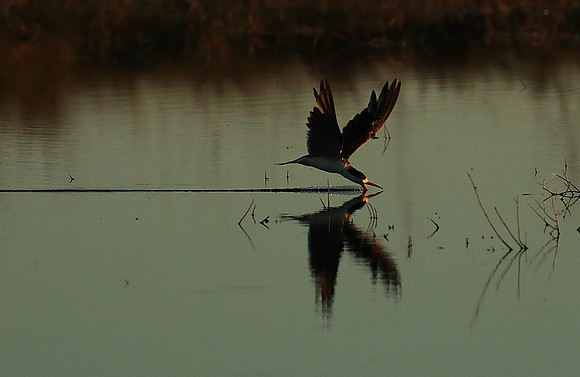 Liuwa Plain National Park