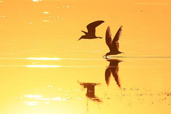 Liuwa National park