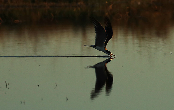 Liuwa Plain National Park