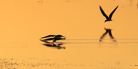 Liuwa National park