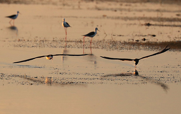 Liuwa Plain NP