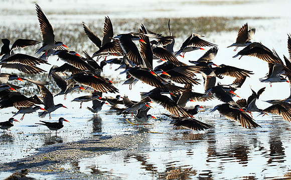 Liuwa Plain NP