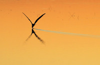 Liuwa Plain NP