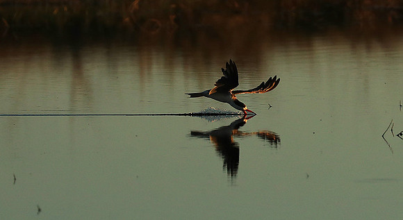 Liuwa Plain National Park