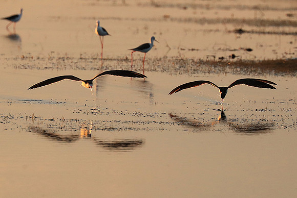 Liuwa Plain NP