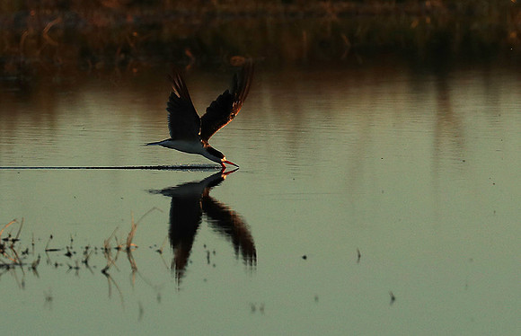 Liuwa Plain National Park