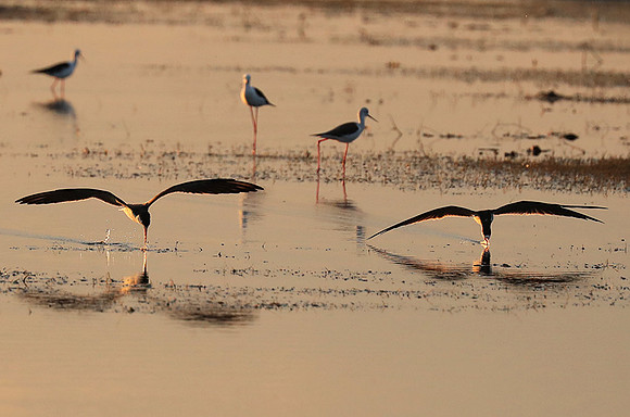 Liuwa Plain NP
