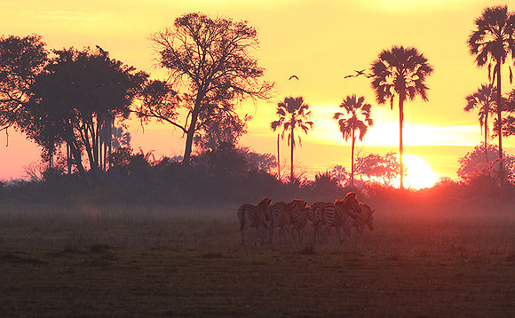 Sunrise - Abu concession - Okavango
