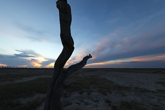 Sunset - Makgadikgadi