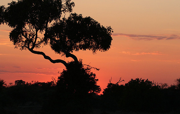 sunset - Abu concession - Okavango