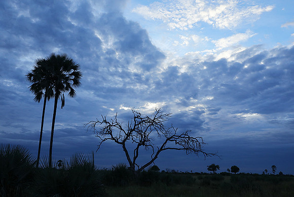 Delta of okavango