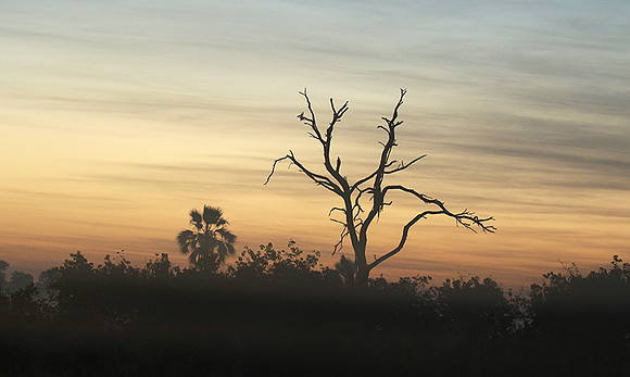 Sunrise - Abu concession - Okavango