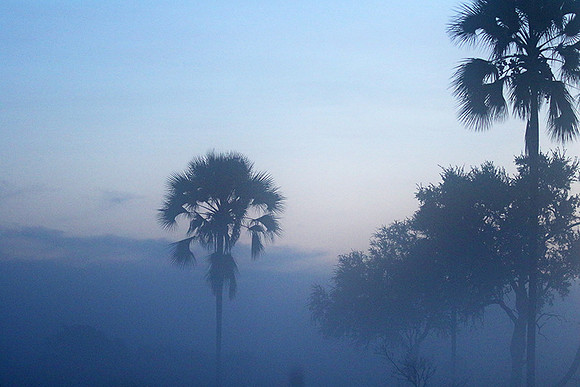 Sunrise - Abu concession - Okavango